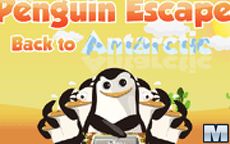 Penguin Escape