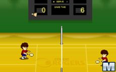 Badminton 3D