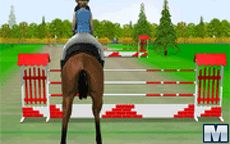 Horse Jumping 2