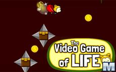 The Video Game Of Life