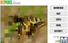 Repixel Animals