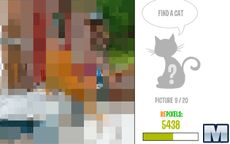 Repixel: Find a Cat