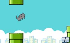 Flappy Cat