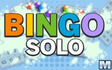 Bingo Solo