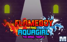 Flameboy and Watergirl:The Magic Temple