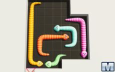 Snake Puzzle