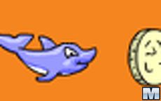 Dolphin Dash