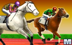 Horse Racing 2D