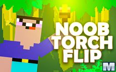 Noob Torch Flip 2D