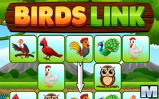 Birds Link