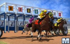 Bet Horse Racing