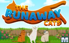 The Runaway Cats