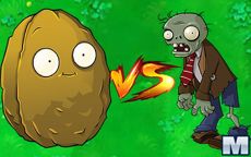 Potato vs Zombies
