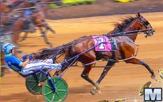 Harness Racing