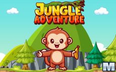 Jungle Adventure