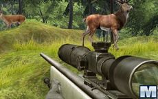 Sniper Hunting Deadly Animal