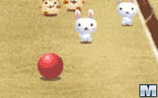 Cat Bowling