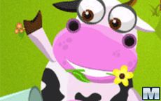 Crazy Cow